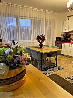 Apartament Sofia - 1