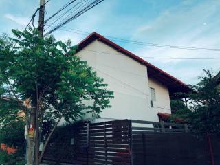 Casa cu Smochin | House with the fig - 7