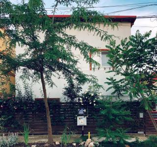 Casa cu Smochin | House with the fig - 6