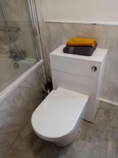 Bridge View Victorian Townhouse Central Aberystwyth Sleeps 6 - 5