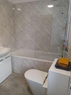 Bridge View Victorian Townhouse Central Aberystwyth Sleeps 6 - 6