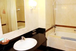 Huong Sen Hotel - Ho Chi Minh City - 8