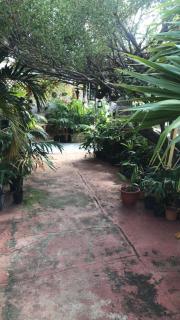 Magical Garden - Savaneta - 4