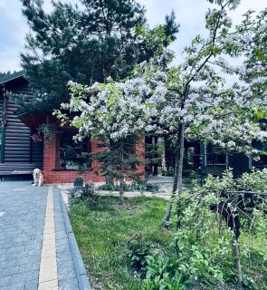 Котеджi у Бажанiв - 5