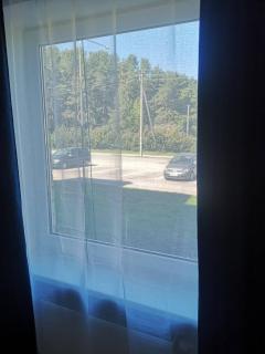 Pušynas ir jūra - Šventoji - 5