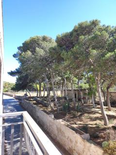 BAGLIO MULINO - Favignana - 5