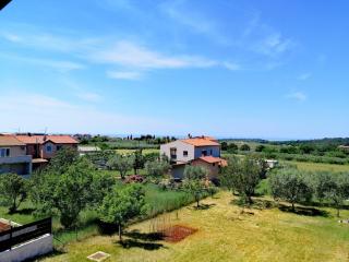 7 PALMI Novigrad - Novigrad Istria - 7