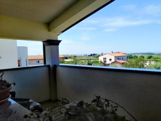 7 PALMI Novigrad - Novigrad Istria - 6