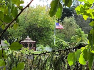 Large 1 BR Cottage, KING BED on the Lake - 2