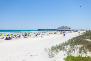 Plaza Cottage - Ormond Beach - 8