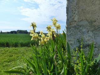 Maison rénovée en campagne avec jardin privé et tout confort, près de Vichy - FR-1-489-381 - - 5