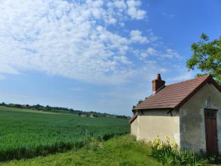 Maison rénovée en campagne avec jardin privé et tout confort, près de Vichy - FR-1-489-381 - - 4