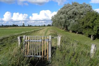 Ferienhof-Eiderdeich Wohnung Hertha - Delve - 6