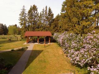 Pilsberģu krogs - 5