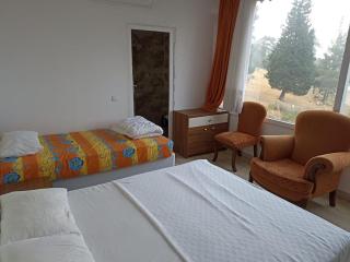 TOKGÖZ HOTEL RESTAURANT - Ulupinar - 9