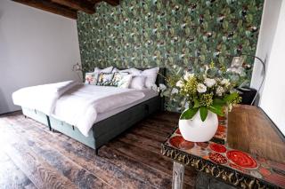 Kníže Ferdinand Apartments - 4