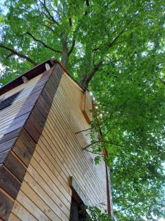 Cabane suspendue dans les arbres - Villebon-sur-Yvette - 7