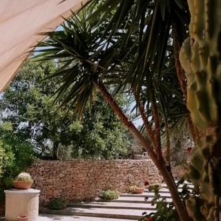 Masseria Agriturismo Il Sorriso Degli Ulivi - Dimora di Charme - Gallipoli - 3