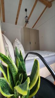Apartment Ariela - Izola - 6