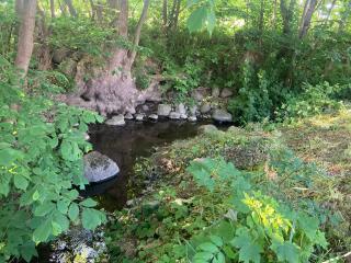 Residens Svalhøj - 7