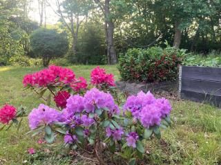 Residens Svalhøj - 2