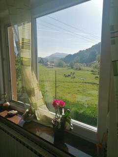 Beautiful house in idyllic location - Rogatec - 1