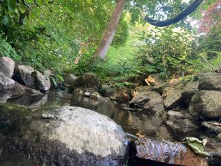 Residens Svalhøj - 8