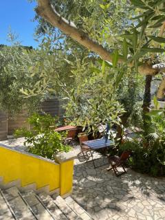 Pjacal - Veli Lošinj - 9