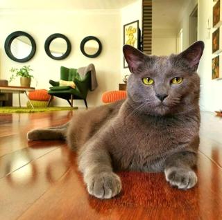 Villas Sienna Homestay - 3