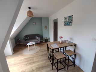 La Canisse 3 : joli appartement - Boulogne sur mer - Boulogne-sur-Mer - 5