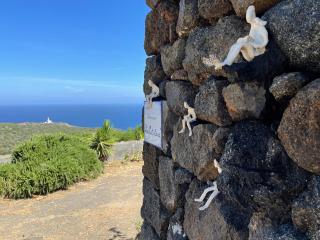 Dammuso "La Catalana" - Pantelleria - 8