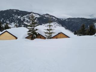 Vila DedeNikolla stankaj rugove pej - Peje - 4