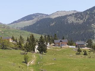 Vila DedeNikolla stankaj rugove pej - Peje - 3