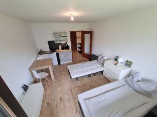 Terrassenapartment Dietel - Zell im Fichtelgebirge - 6
