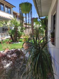 Cactus house - 2