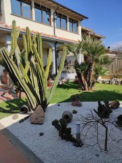 Cactus house - Corchiano - 3