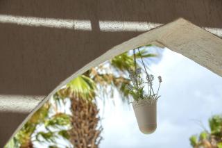 Villa Euphoria - Protaras - 2