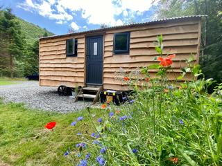 Empress En Suite Wagon - Arthog - 0