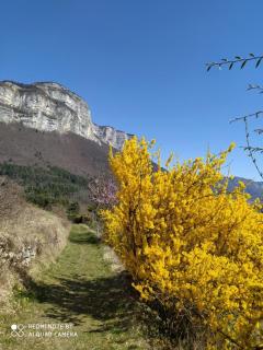 Studio au pied de la montagne et vue imprenable - Saint-Alban - 1