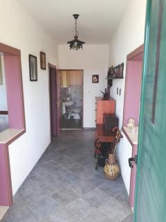 Apartman Michael - Drvenik Veli - 3