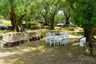 Eleonas-Olive grove traditional holiday appartment - 8