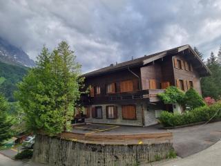 MOM - Alpine Boutique Apartments, Alpstein Eiger View Terrace, City Center - Grindelwald - 3