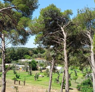 Agriturismo Massaro Pietro - Otranto - 6