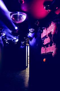 The Flamingo - 4