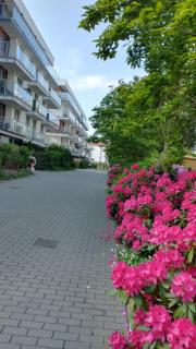 Apartament Limonka - Colberga - 2