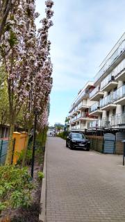 Apartament Limonka - Colberga - 1