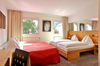 Hotel Steinerwirt1493 - 7