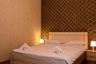 Tulpan Park Hotel - Şəki - 8