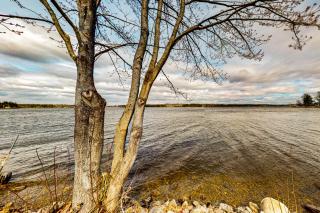 Lake Den - Vassalboro - 8