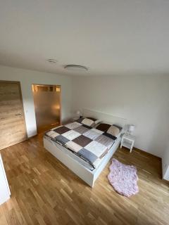 Cozy apartment in the Lungau region. - - 3